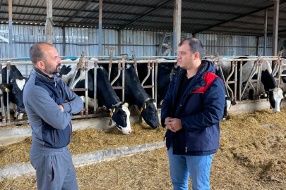 Pınarhisar’da Ari Hayvancılık İşletmesine Ziyaret