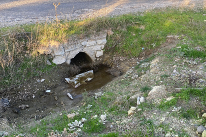Boş Arazide Bulunan Bebek Cesediyle İlgili 1 Tutuklama