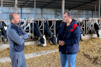 Pınarhisar’da Ari Hayvancılık İşletmesine Denetim Ziyareti