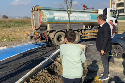 Süleymanpaşa’da Sezen Sokak’ta Ağaçlandırma Çalışması