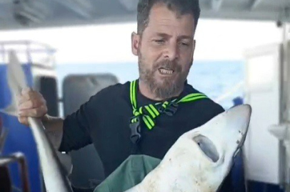 Ağa Takılan Köpekbalığı Denize Bırakıldı