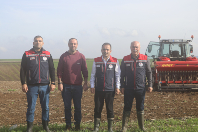 Edirne’de Ayçiçeği ve Buğday Üretiminde Verimlilik Çalışmaları Sürüyor