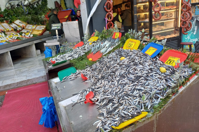 Edirne’de Balıkçılar Haftaya Sakin Başladı