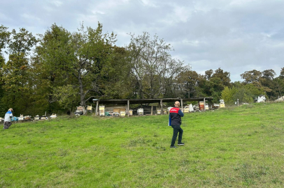 Demirköy’de Arılı Kovanlarda Düzenli Tespit Çalışmaları Sürdürülüyor