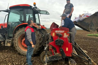 Lüleburgaz’da Tarımsal Ürün Gelişim ve Fenolojik Gözlem Çalışmaları Sürüyor