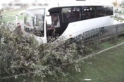 Tekirdağ'da Servis Minibüsü Ağaca Çarptı: 1 Yaralı