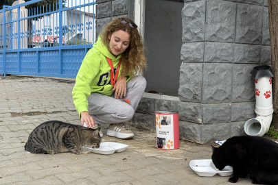 Pelin Öğretmen 11 Yıldır "Çocuklarım" Dediği Kedileri Besliyor