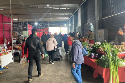 Edirne’deki Yağış Emek Pazarını Etkilemedi