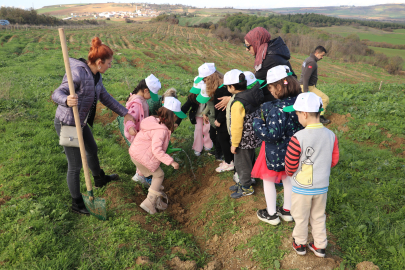 Tekirdağ'da "Öğretmenler Günü" Dolayısıyla Fidanlar Toprakla Buluşturuldu