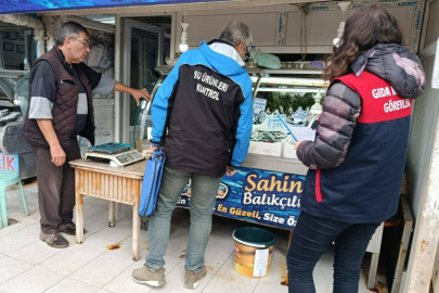 Gelibolu'da Balıkçı Tezgahları Denetlendi