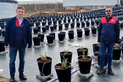 Lüleburgaz’da Basınçlı Sulama Projesi Kontrol Edildi