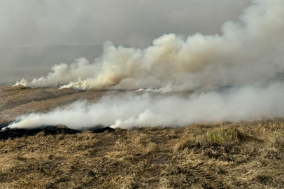 Cezalara Rağmen Anız Yakmalar Sürüyor