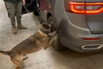 Kapıkule'de Aracın Gizli Bölmelerinden 23 Kilo 820 Gram Skunk Çıktı