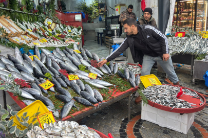 Edirne’de Balık Fiyatları Bütçeyi Zorluyor