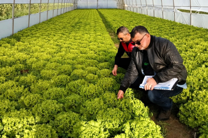 Kırklareli'nde Sera Denetimleri