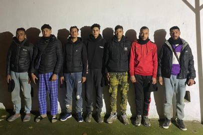Edirne'de 9 Düzensiz Göçmen Yakalandı