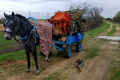 Edirne'de Merada İzinsiz Ağaç Kesen 2 Kişi Gözaltına Alındı