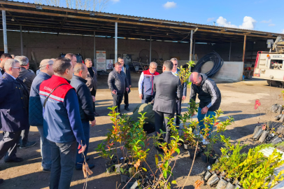 Havsa’da Muhtarlara Fidan Dağıtımı Yapıldı