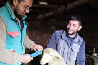 Pınarhisar’da Hayvancılık İşletmelerinde Düzenli Kontroller Sürdürülüyor
