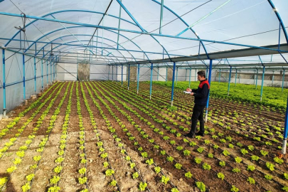 Babaeski’de Sera Alanlarında KOBÜKS Kayıt Çalışmaları Sürüyor