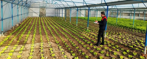 Babaeski’de Sera Alanlarında KOBÜKS Kayıt Çalışmaları Sürüyor