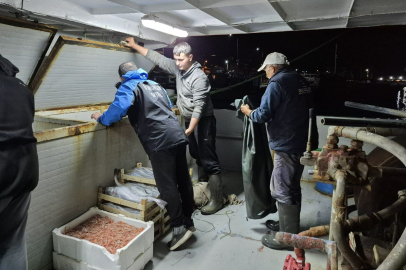 Çanakkale'de 525 Kilo Balığa El Konuldu