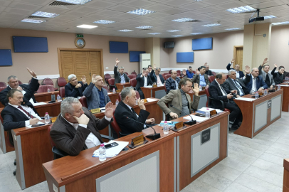 Meclisten 41 Milyon 500 Bin TL’lik Krediye Onay