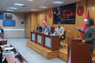 Mecliste Kırkkavak Köy Yolu Tartışması