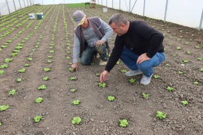 Edirne’de 20 Yeni Sera Üretime Başladı