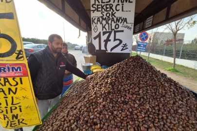Kestane Sezonu Açıldı: Kilosu 175 Lira