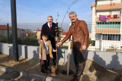 Çerkezköy TSO 30 Adet Meyve Fidanı Dikti