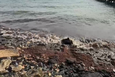 Tekirdağ’da Poyraz Kızıl Yosun Sürükledi