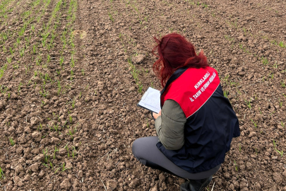 Pehlivanköy’de Arpa Demonstrasyon Alanlarında Teknik Kontroller Yapıldı