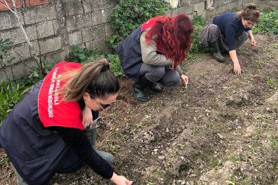 Pehlivanköy’de Salep Ekiliş Alanlarında Kontroller Yapıldı