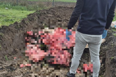 Tekirdağ'da 1 Ton Menşei Belirsiz Hayvansal Ürün İmha Edildi