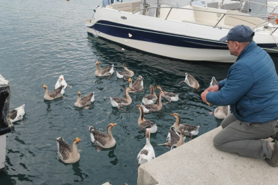 Şarköy'ün Maskotu 'Vakvaklar'