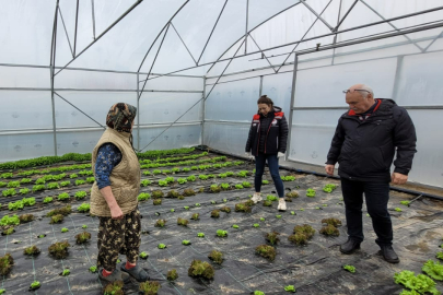Edirne’de Sebze Üreticilerine Yönelik Teknik Bilgilendirmeler Yerinde Yapılıyor