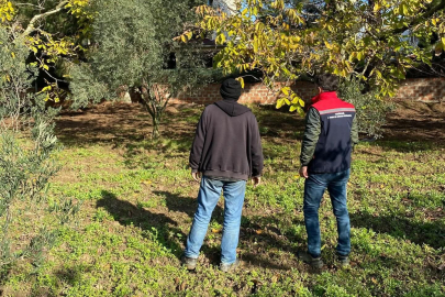 Tekirdağ’da Ceviz Bahçesinde Hastalık ve Zararlı Kontrolü Yapıldı