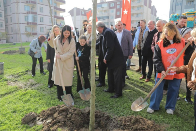 Fatih Çocuk Parkı’nda Fidan Dikimi