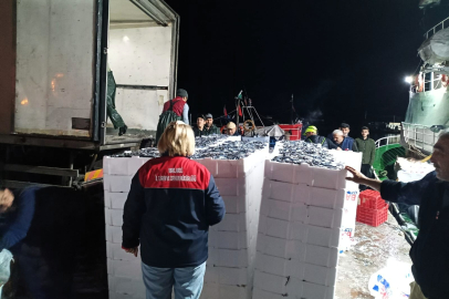 Kırklareli’nde Hamsi Avcılığına Yönelik Denetimler Sürdürülüyor