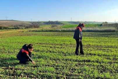 Pehlivanköy’de Arpa Ekiliş Alanlarında Teknik Kontroller Yapıldı