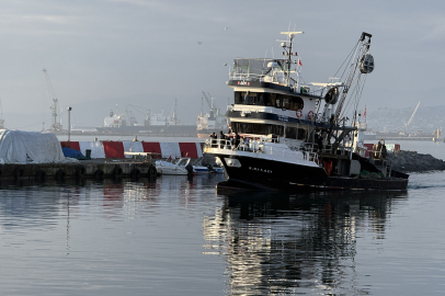Tekirdağ'da İstavrit Bereketi Sürüyor