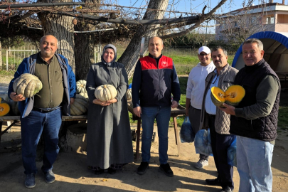 Üsküpdere Köyü’nde Kabak Yetiştiricilerine Teknik Destek