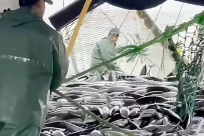 Çanakkaleli Balıkçılar Sezondan Memnun