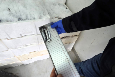 İğneada Balıkçı Barınağı’nda Su Ürünleri Denetimleri Sürüyor