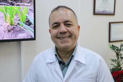 Tekirdağ'da Tarımsal Üretimde Ekin Kamburu Böceği Uyarısı