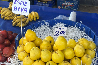 Edirne’de Ayvanın Tadı Kaçtı