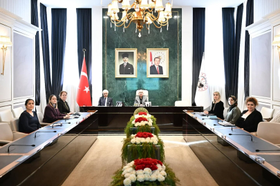 Kırklareli’nde Normal Doğum Eylem Planı Toplantısı Yapıldı