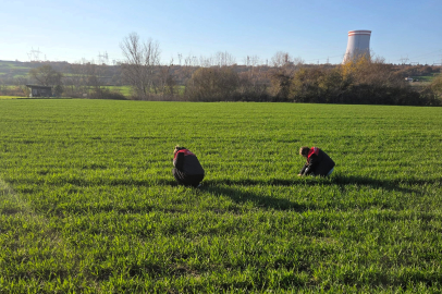 Lüleburgaz’da Hububat Ekiliş Alanları Denetlendi