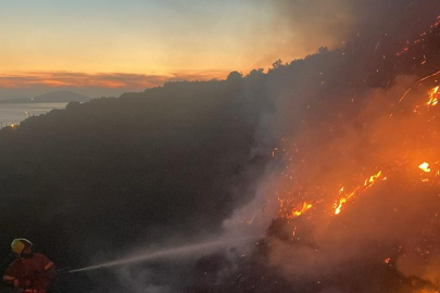 Marmara Adası'nda Çıkan Ot Yangını Söndürüldü